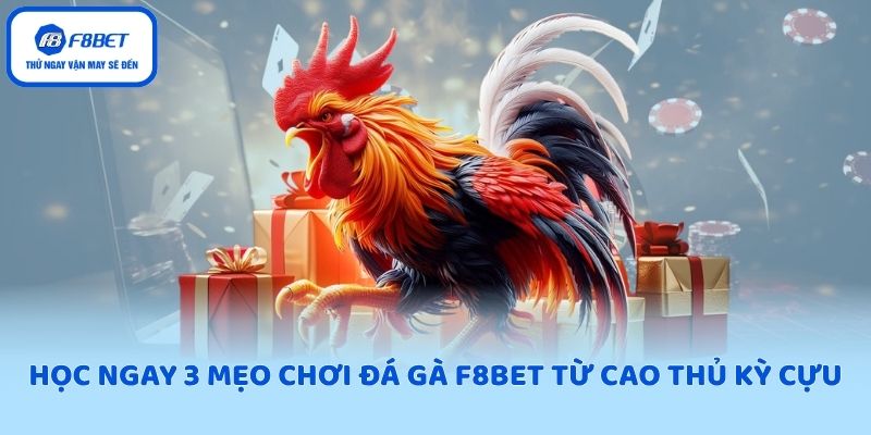 Học ngay 3 mẹo chơi đá gà F8BET từ cao thủ kỳ cựu
